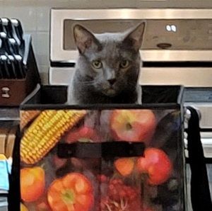 Meet your Posher, Cindy